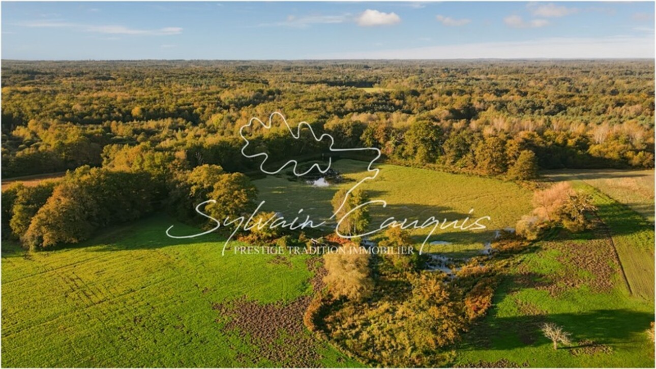 Photos 2 - Forestière - Domaine de Chasse à vendre  - 185 ha - 3 étangs - Maison 6 pièces - Rendez vous de Chasse - Grange