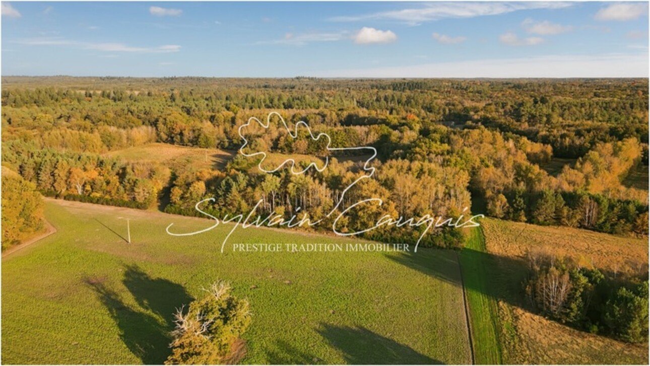 Photos 3 - Forestière - Domaine de Chasse à vendre  - 185 ha - 3 étangs - Maison 6 pièces - Rendez vous de Chasse - Grange