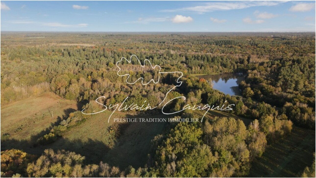 Photos 4 - Forestière - Domaine de Chasse à vendre  - 185 ha - 3 étangs - Maison 6 pièces - Rendez vous de Chasse - Grange