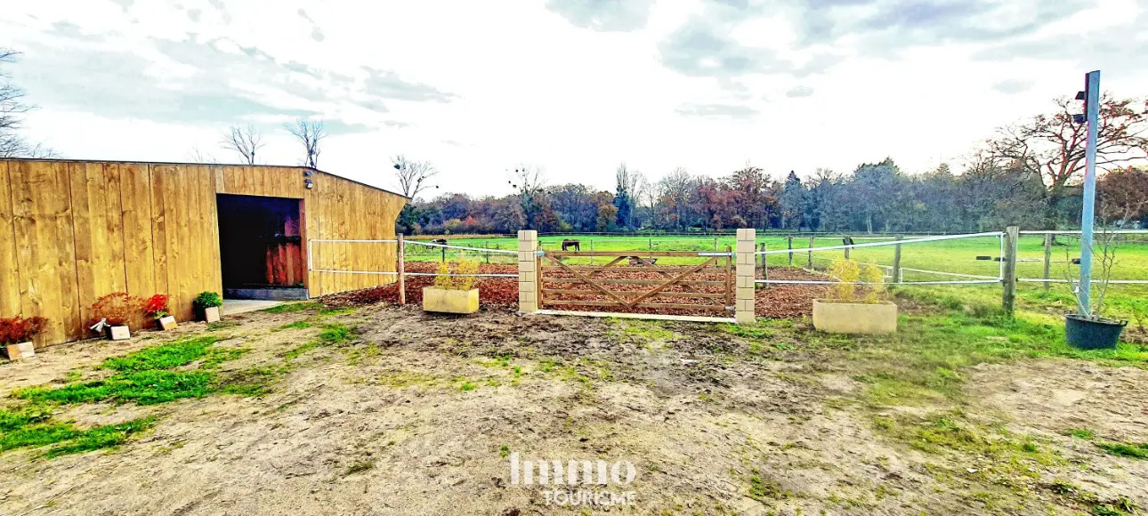 Photos 7 - Équestre - 5ha, Secteur Lamotte-Beuvron, ensemble immobilier avec fort potentiel touristique et équestre