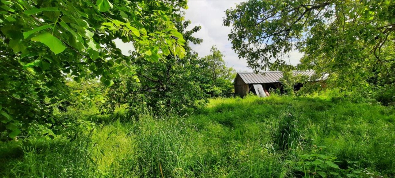 Photos 4 - Touristique - Exclusif longère à rafraîchir