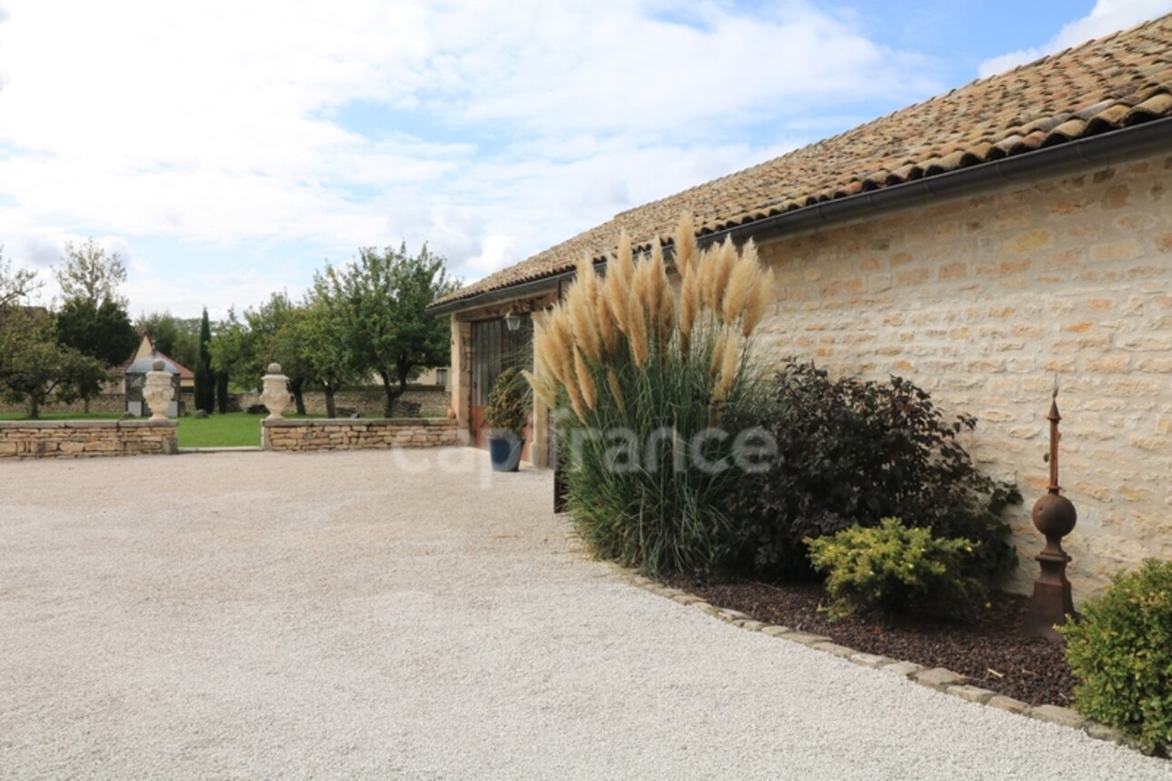 Photos 14 - Prestigious - Dpt Saône et Loire (71), for sale FONTAINES property P14 of 459.05 m² - Single storey