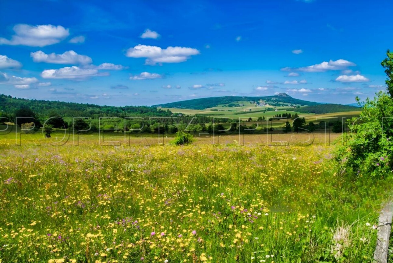 Photos 1 - Agricole - ARDECHE FERME 48 HA RUISSEAU SOURCES