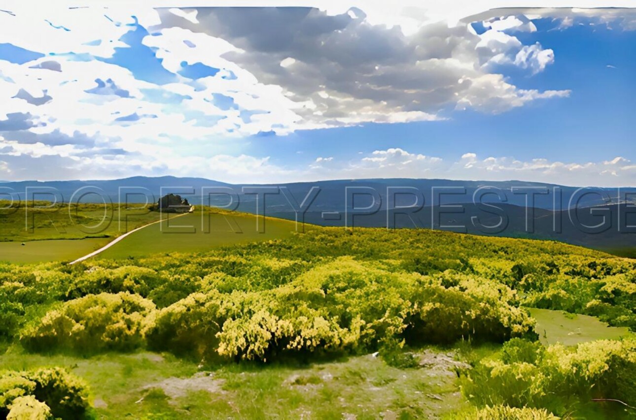 Photos 10 - Agricole - ARDECHE FERME 48 HA RUISSEAU SOURCES