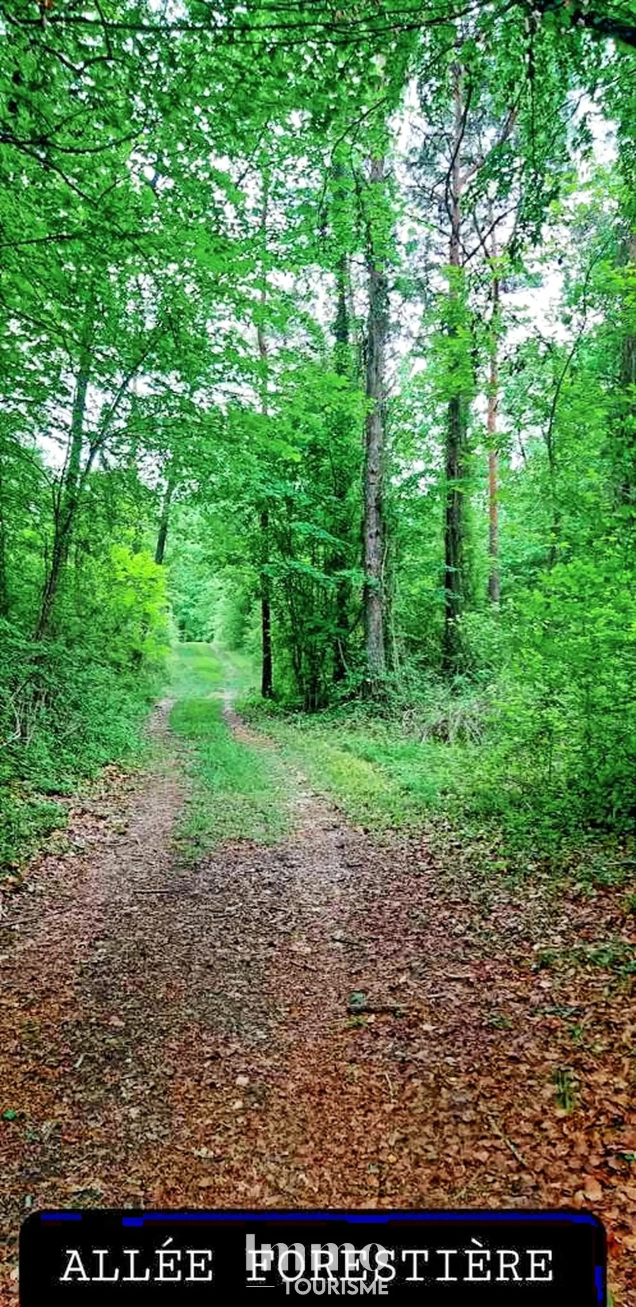 Photos 12 - Touristique - Propriété sur 17ha avec aire de camping-cars et gîtes