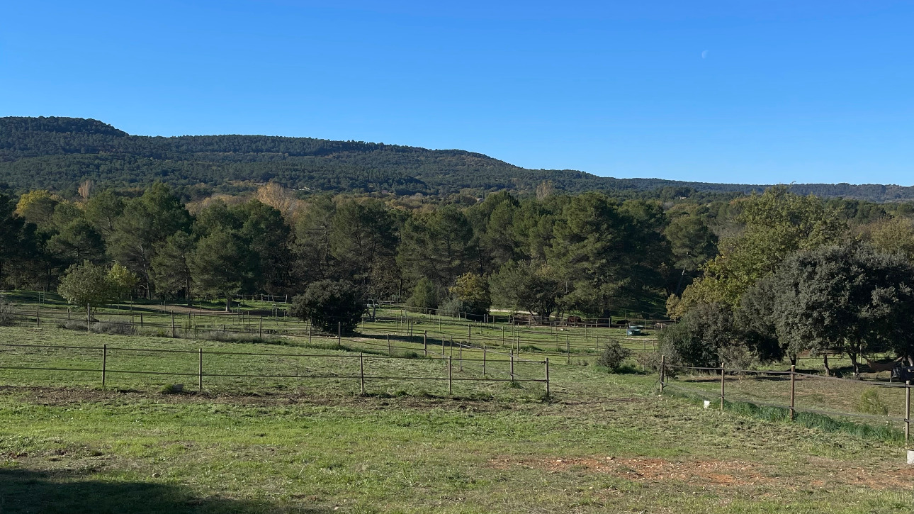 Photos 5 - Équestre - Aix en Provence - Magnifique domaine équestre