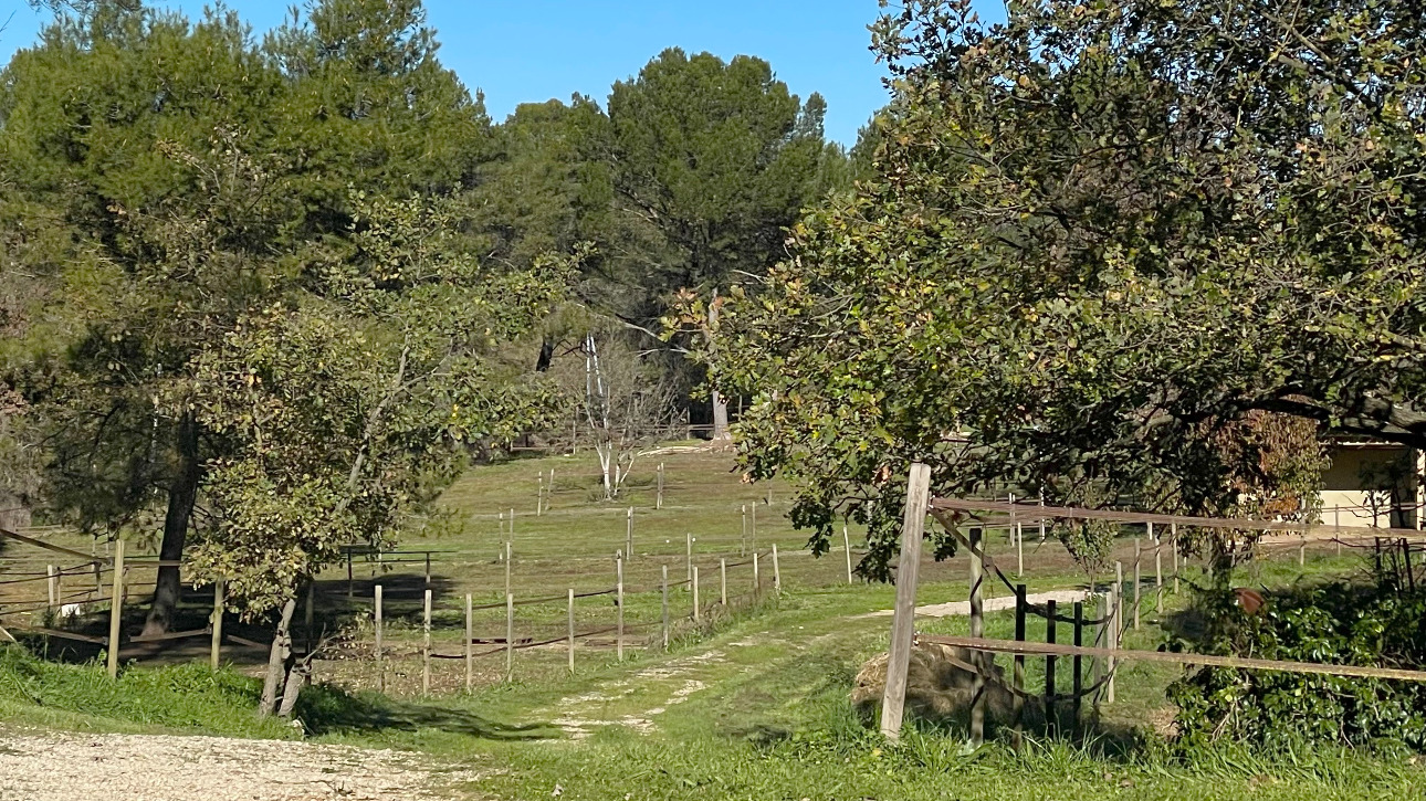 Photos 6 - Équestre - Aix en Provence - Magnifique domaine équestre