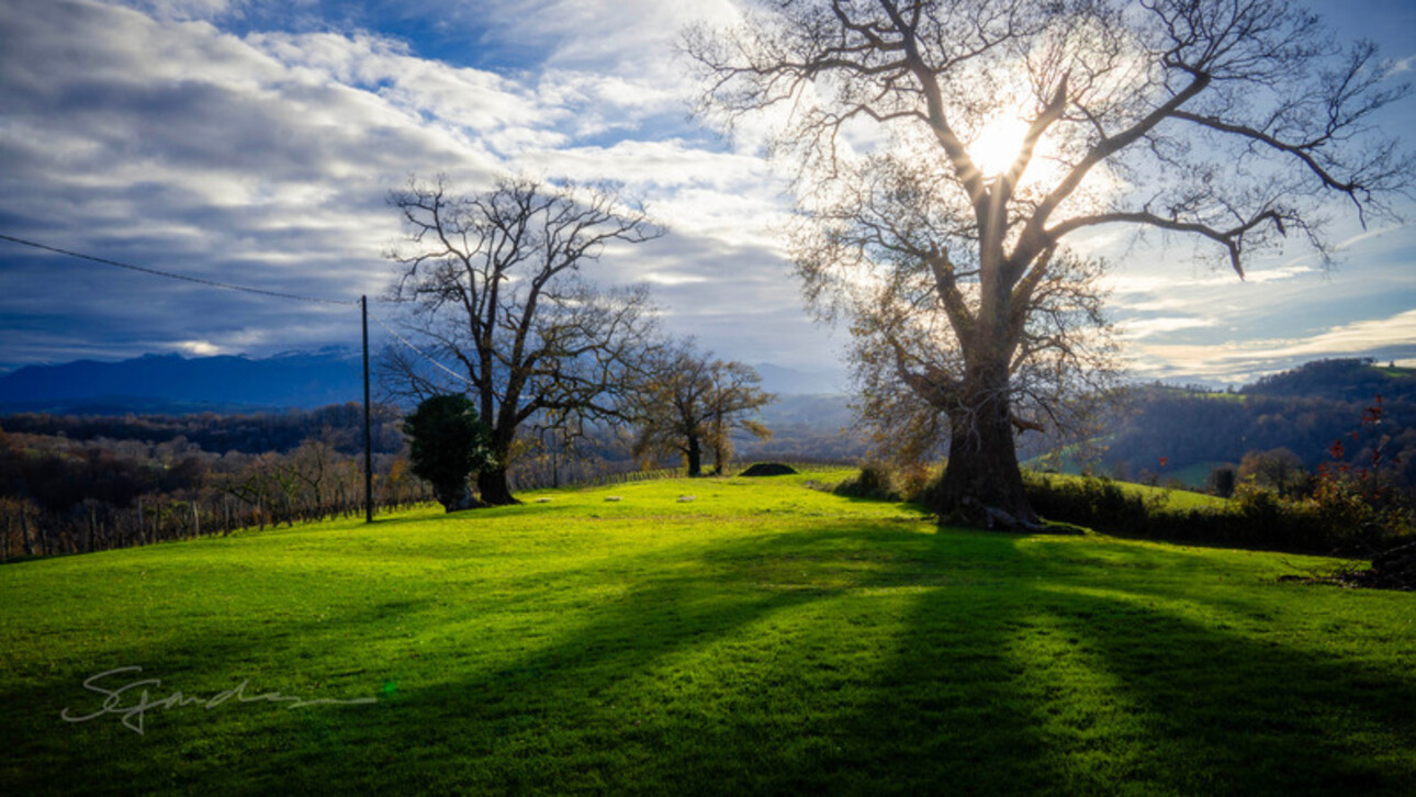 Photos 12 - Touristique - Dpt Pyrénées Atlantiques (64), à vendre LASSEUBE/PAU Enclos Béarnais à ressusciter