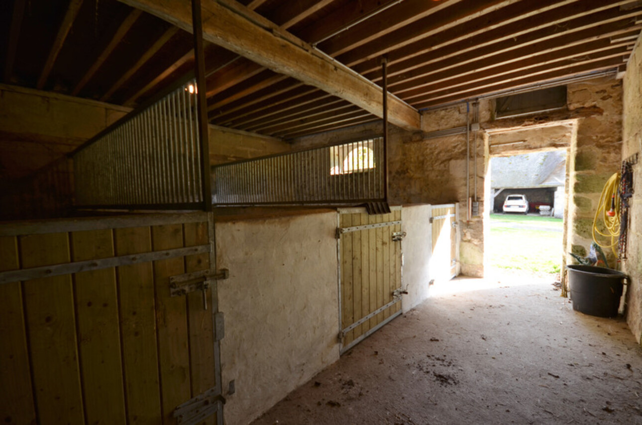 Photos 17 - Equestrian - A vendre beau moulin de plus de 300 m2 habitables avec dépendances sur un parc de 4 hectares