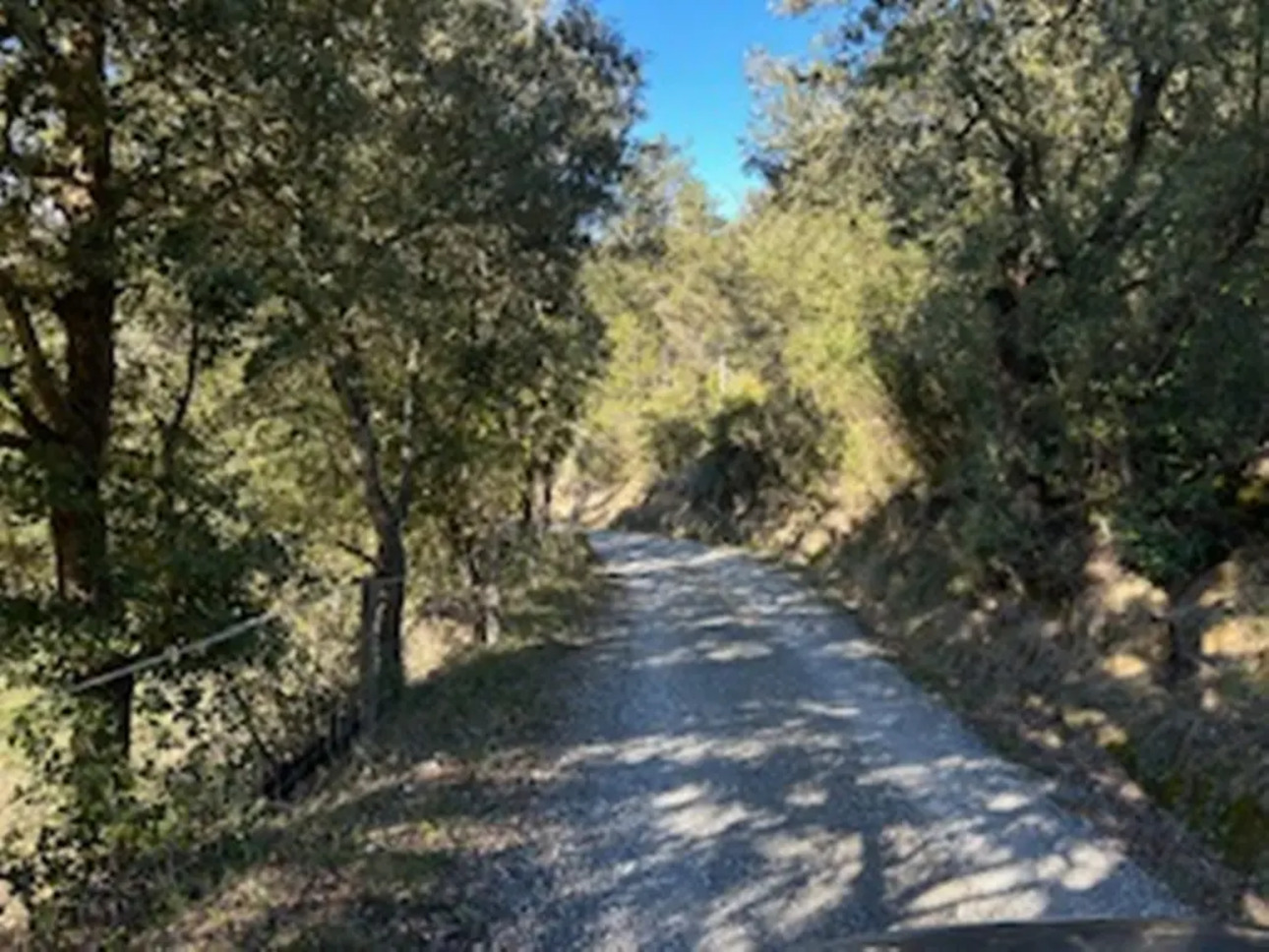 Photos 1 - Tourist - 180 ha bois et prairies, gîtes (Aude)