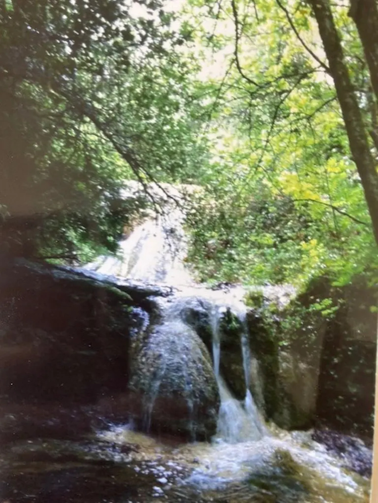 Photos 4 - Tourist - 180 ha bois et prairies, gîtes (Aude)