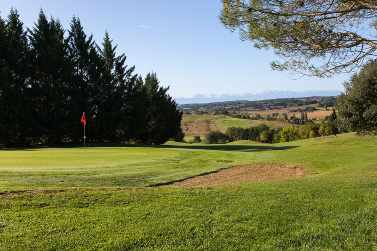 Photos 4 - Prestige - ÉLEGANT CHATEAU XVIII sur 70 ha, VUE PANORAMIQUE PYRÉNÉES, au bout d 'une allée,  Toulouse-Blagnac 1h30