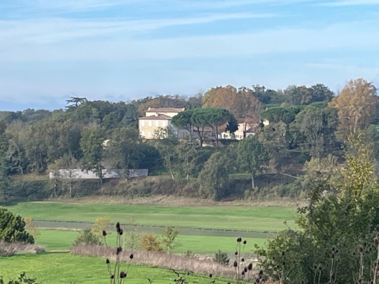 Photos 16 - Prestige - ÉLEGANT CHATEAU XVIII sur 70 ha, VUE PANORAMIQUE PYRÉNÉES, au bout d 'une allée,  Toulouse-Blagnac 1h30