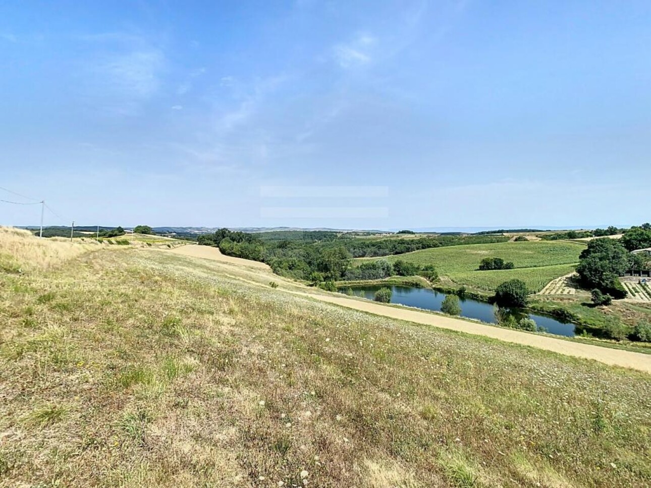 Photos 2 - Foncière - Terrain agricole