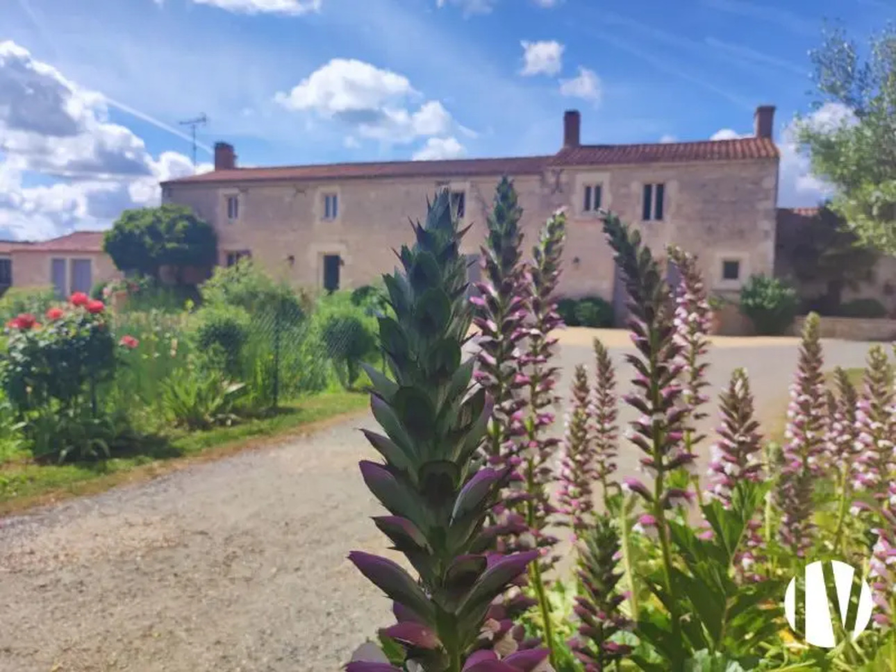 Photos 1 - Equestrian - Exceptional agri-tourism property in Vendée