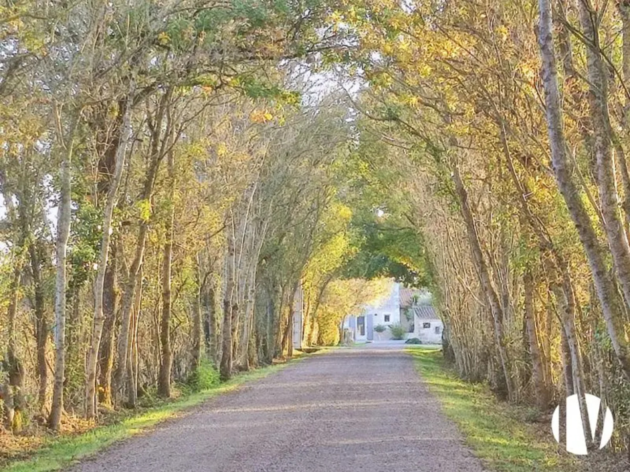 Photos 3 - Equestrian - Exceptional agri-tourism property in Vendée