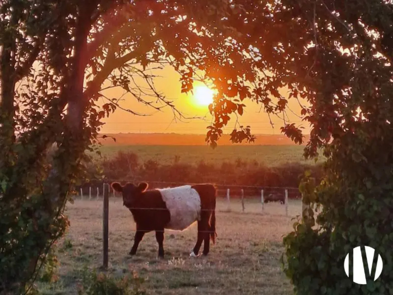 Photos 4 - Equestrian - Exceptional agri-tourism property in Vendée