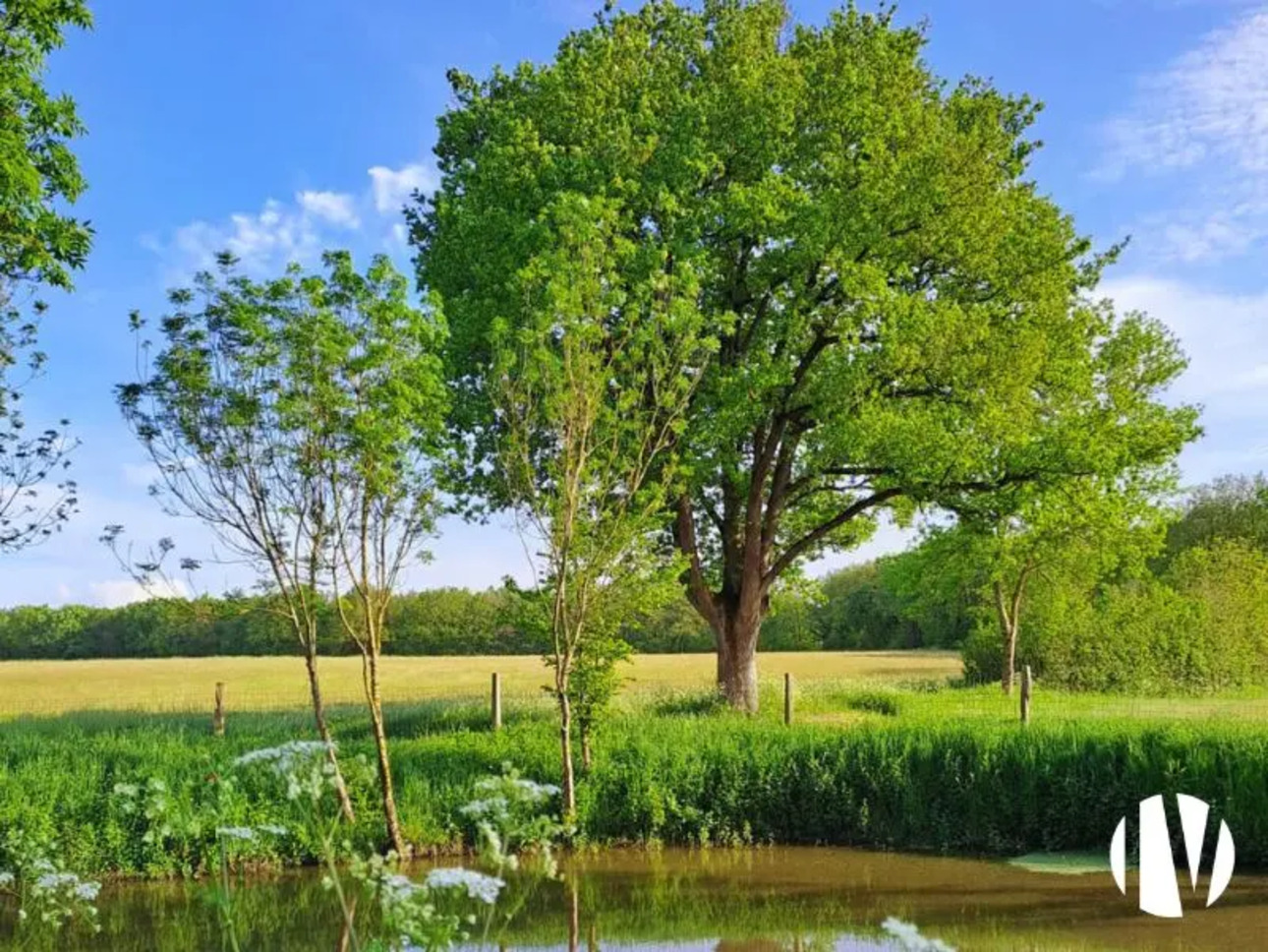 Photos 6 - Equestrian - Exceptional agri-tourism property in Vendée