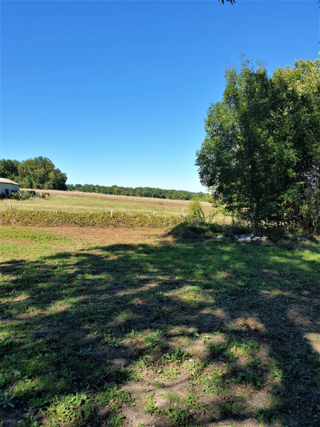 Photos 10 - Touristique - Dpt Charente (16), proche de BARBEZIEUX grande grange et terrain à vendre