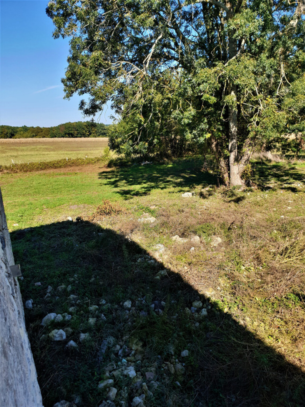 Photos 15 - Touristique - Dpt Charente (16), proche de BARBEZIEUX grande grange et terrain à vendre