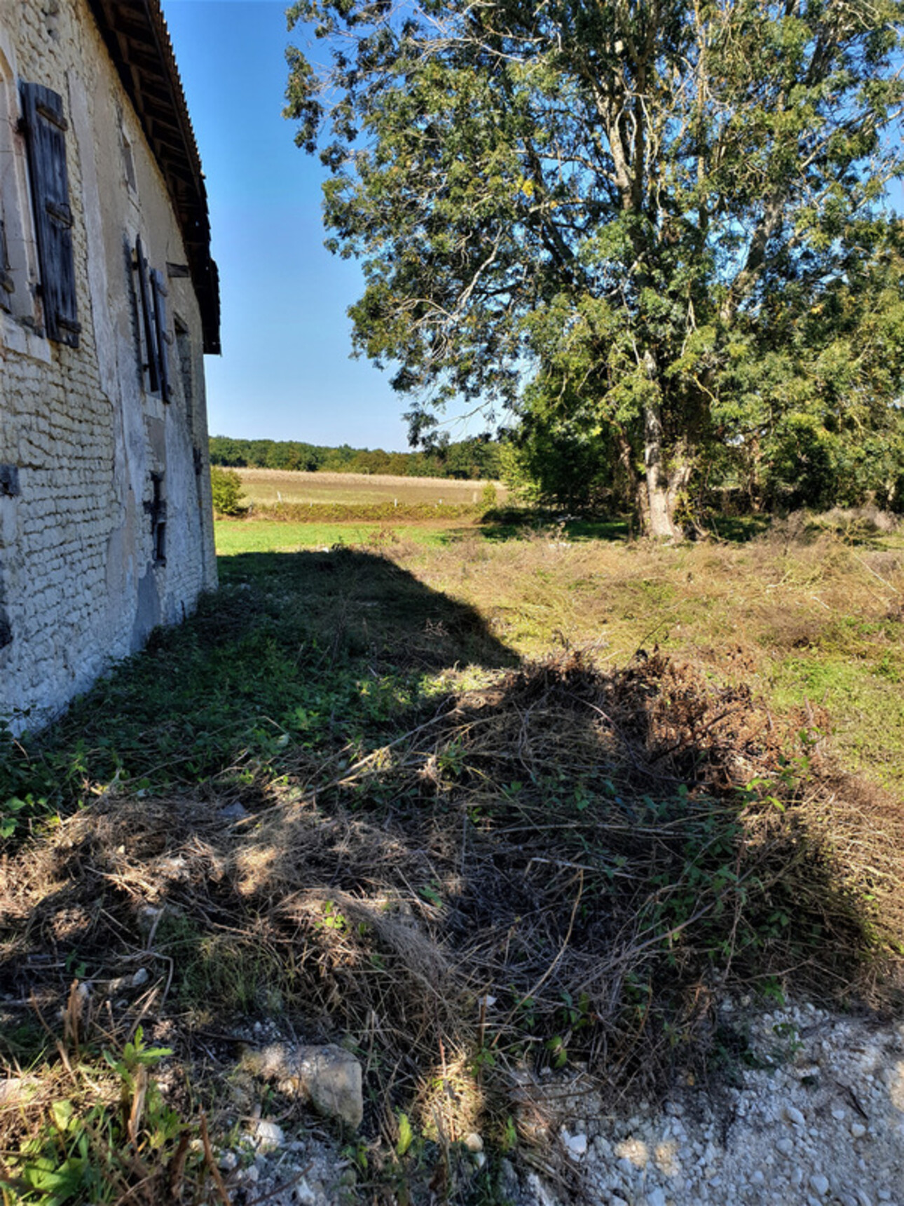 Photos 17 - Touristique - Dpt Charente (16), proche de BARBEZIEUX grande grange et terrain à vendre