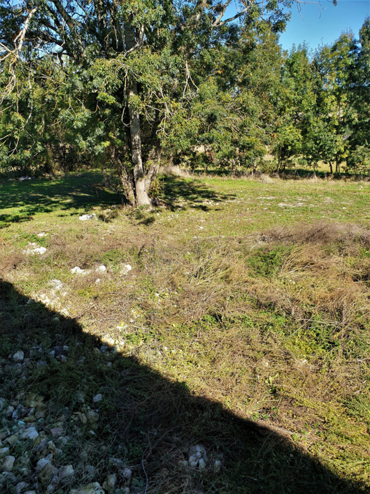 Photos 22 - Touristique - Dpt Charente (16), proche de BARBEZIEUX grande grange et terrain à vendre