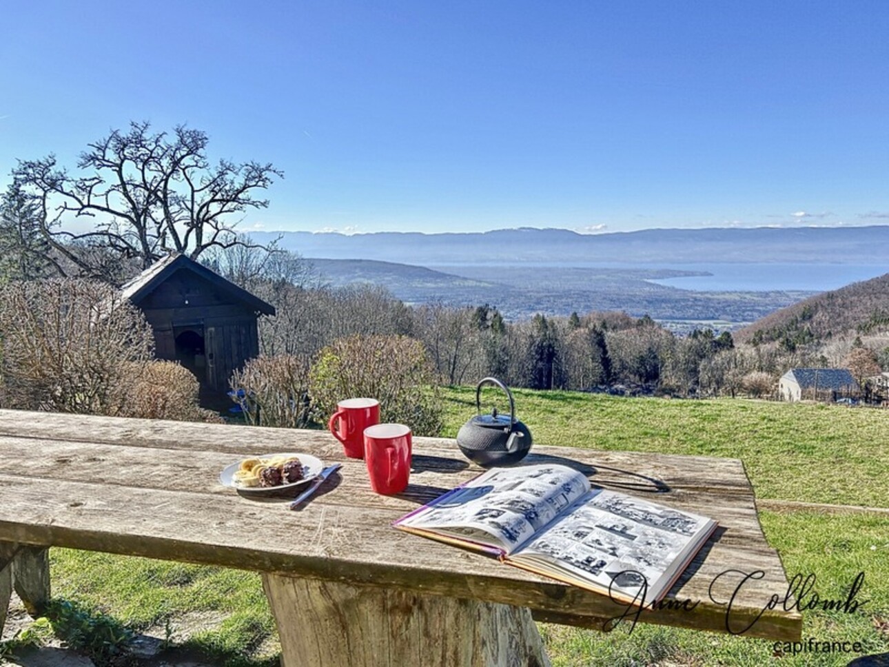 Photos 1 - Tourist - Haute Savoie Department (74), House-Gîte on the heights of Thonon with exceptional view of Lake Gene