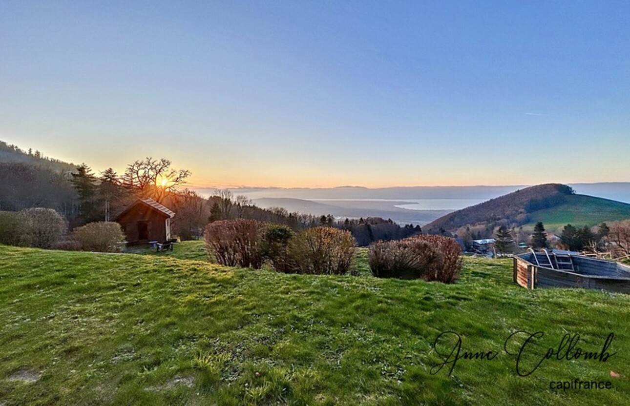 Photos 13 - Tourist - Haute Savoie Department (74), House-Gîte on the heights of Thonon with exceptional view of Lake Gene