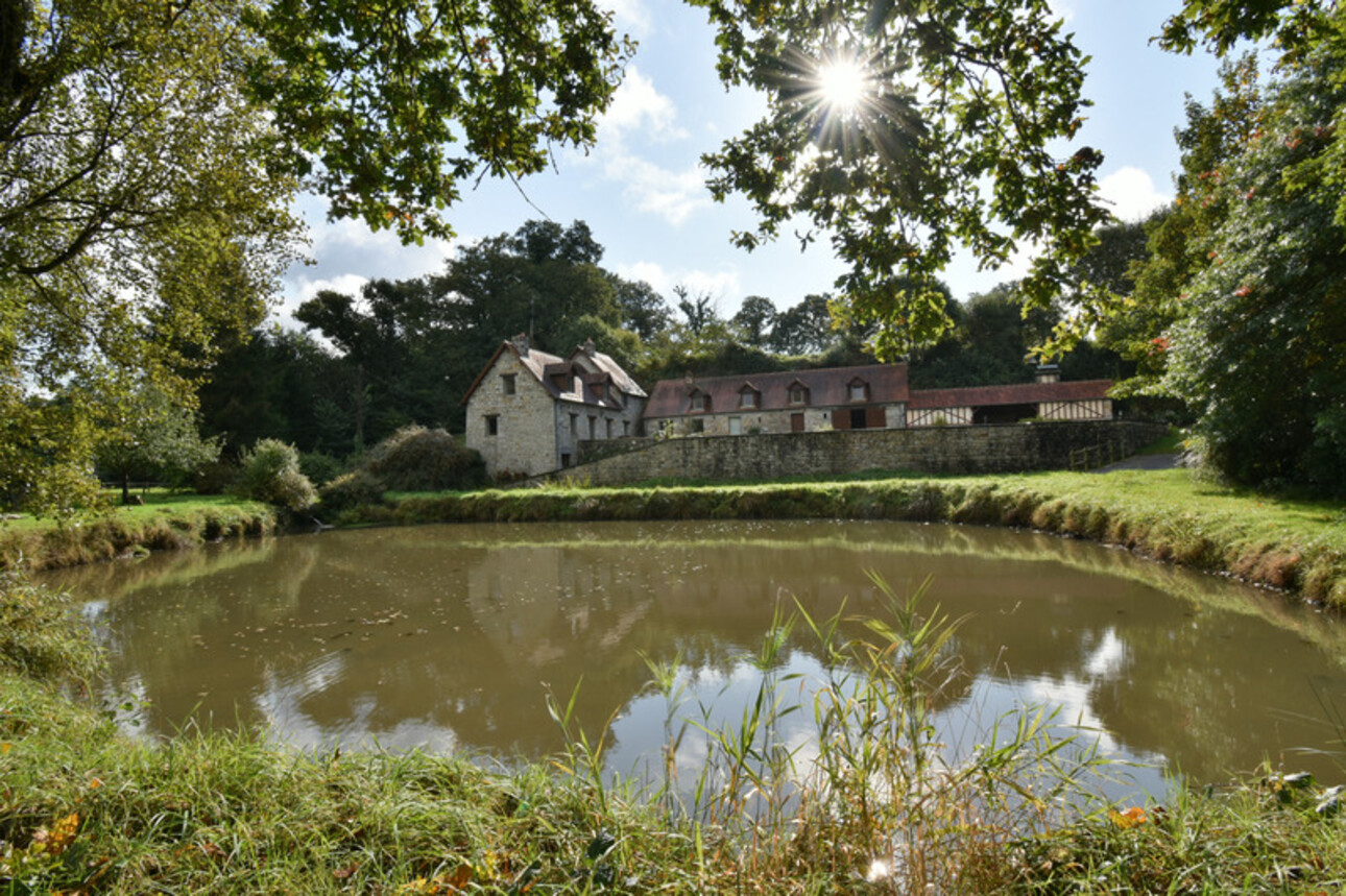 Photos 1 - Equestrian - Propriété