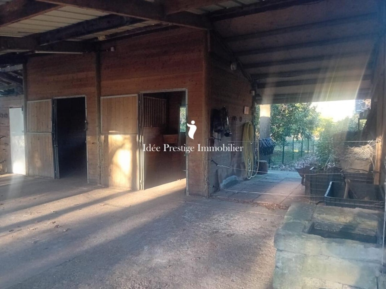 Photos 5 - Equestrian - Propriété équestre en lisère de forêt