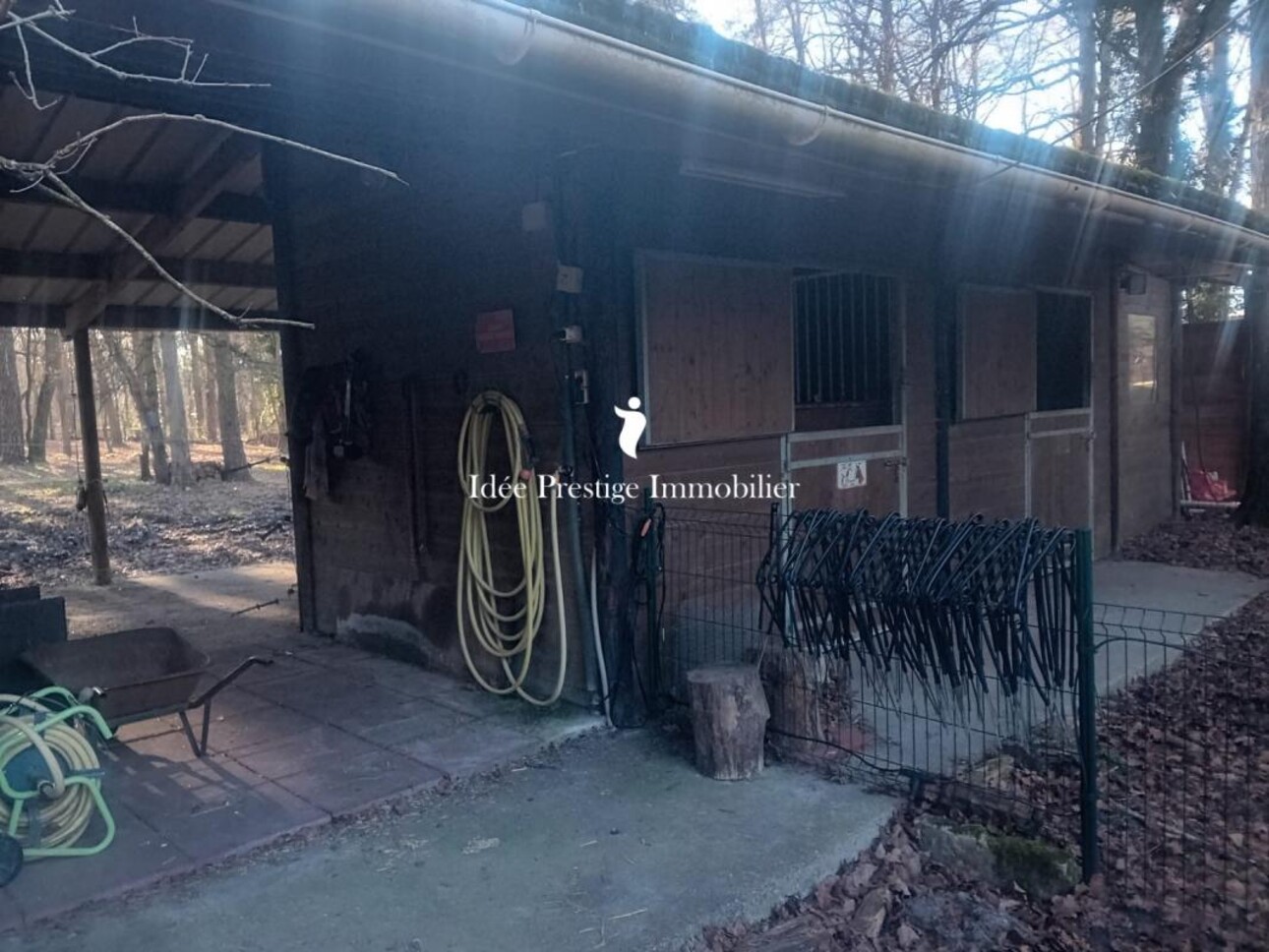 Photos 6 - Equestrian - Propriété équestre en lisère de forêt