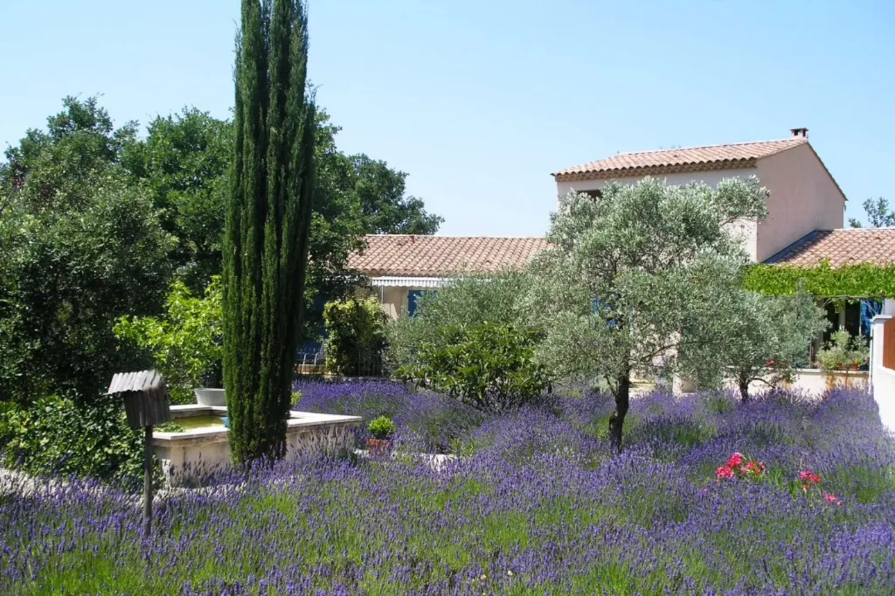 Photos 1 - Prestige - Maison d'hôtes de charme climatisée a vendre au coeur du Luberon