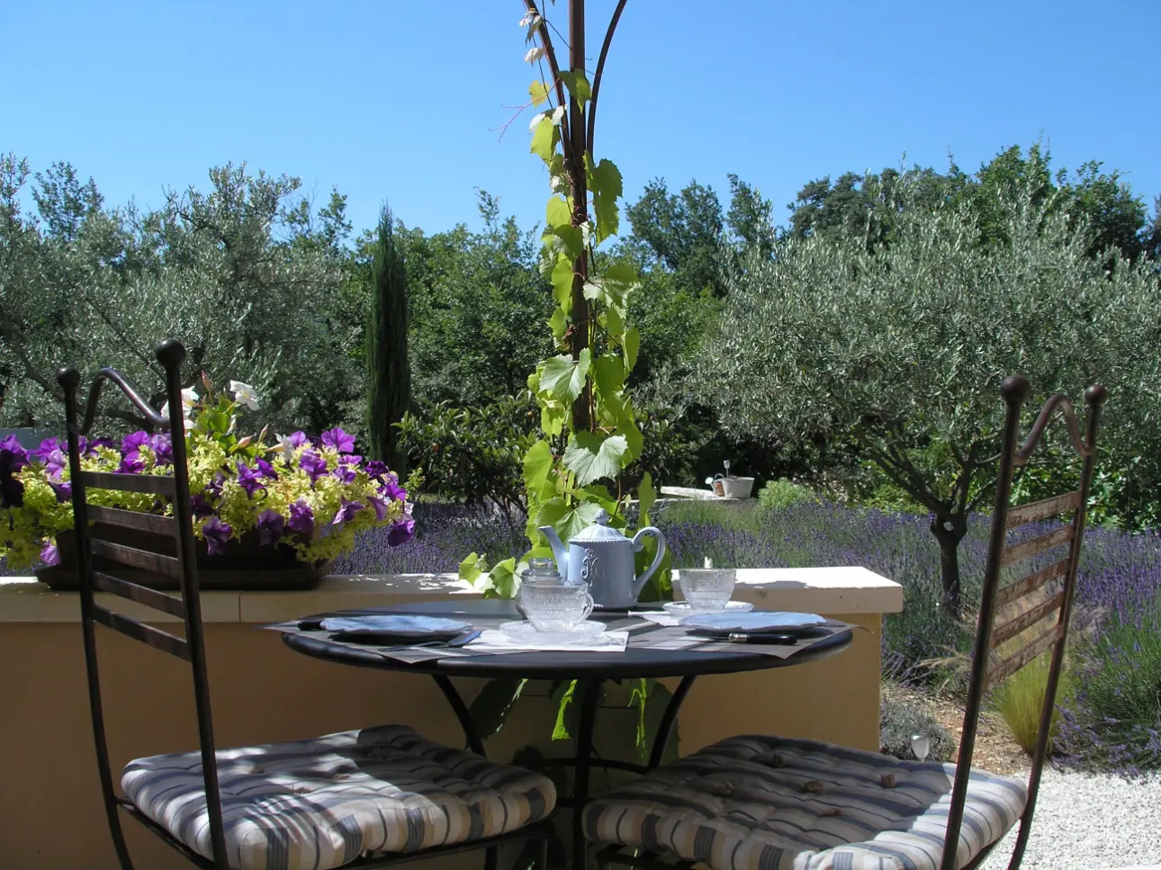 Photos 3 - Prestige - Maison d'hôtes de charme climatisée a vendre au coeur du Luberon