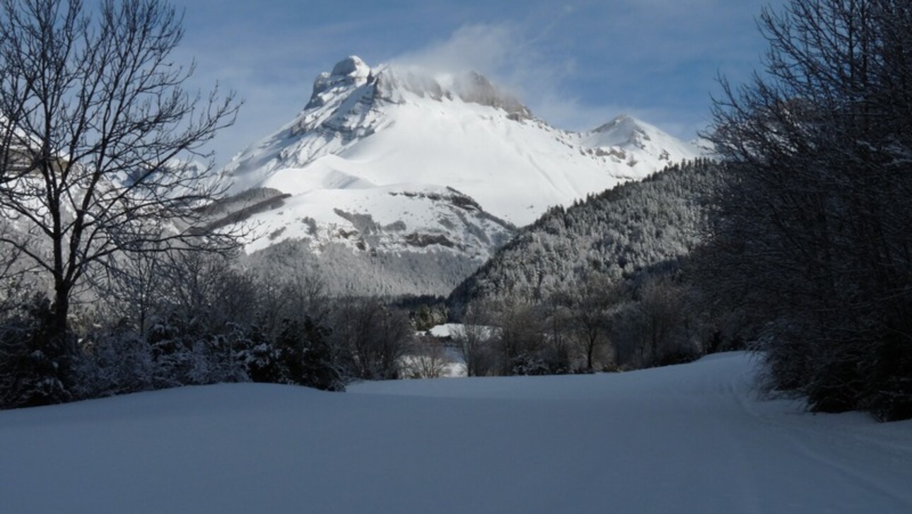 Photos 4 - Touristique - À VENDRE : PROPRIÉTÉ D’EXCEPTION sur 3000m² de terrain À LUS-LA-CROIX-HAUTE