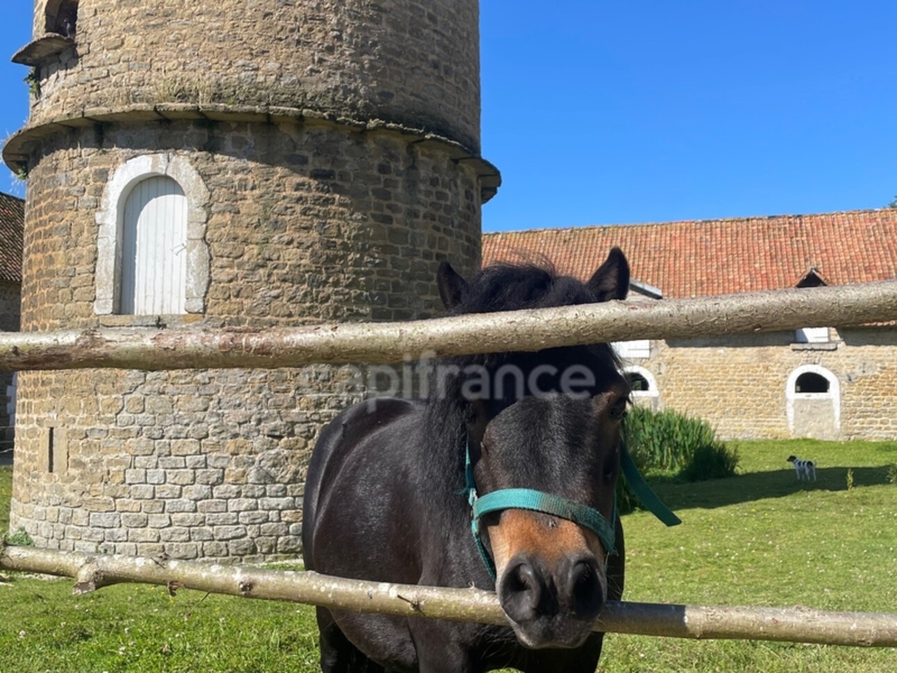 Photos 4 - Équestre - À VENDRE - HESDIN L'ABBÉ - CORPS DE FERME RÉNOVÉ - CAPACITÉ DE L'ENSEMBLE 468 M2 - 17 PIÈCES - GARAGE - PISCINE 32 M2 - TERRAIN CLOS - DÉPENDANCES TOTALES 519 M2