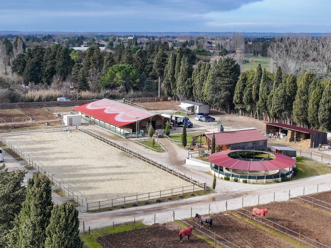 Photos 1 - Equestrian - Provence Alpilles - Equestrian owner - Balneotherapy center