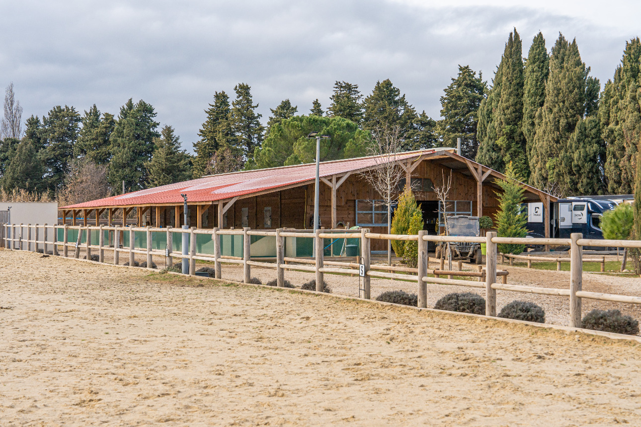 Photos 2 - Equestrian - Provence Alpilles - Equestrian owner - Balneotherapy center