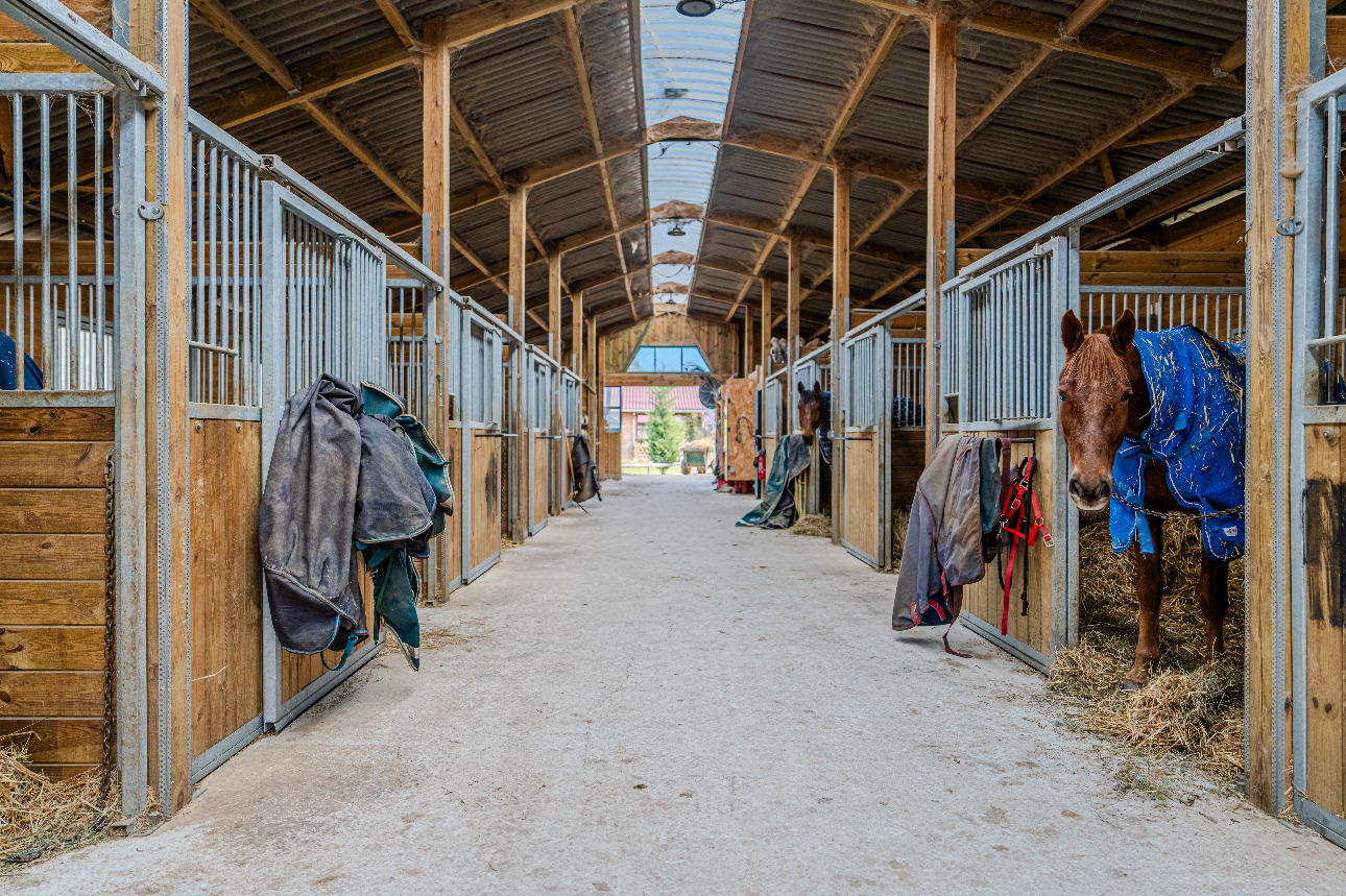 Photos 4 - Equestrian - Provence Alpilles - Equestrian owner - Balneotherapy center