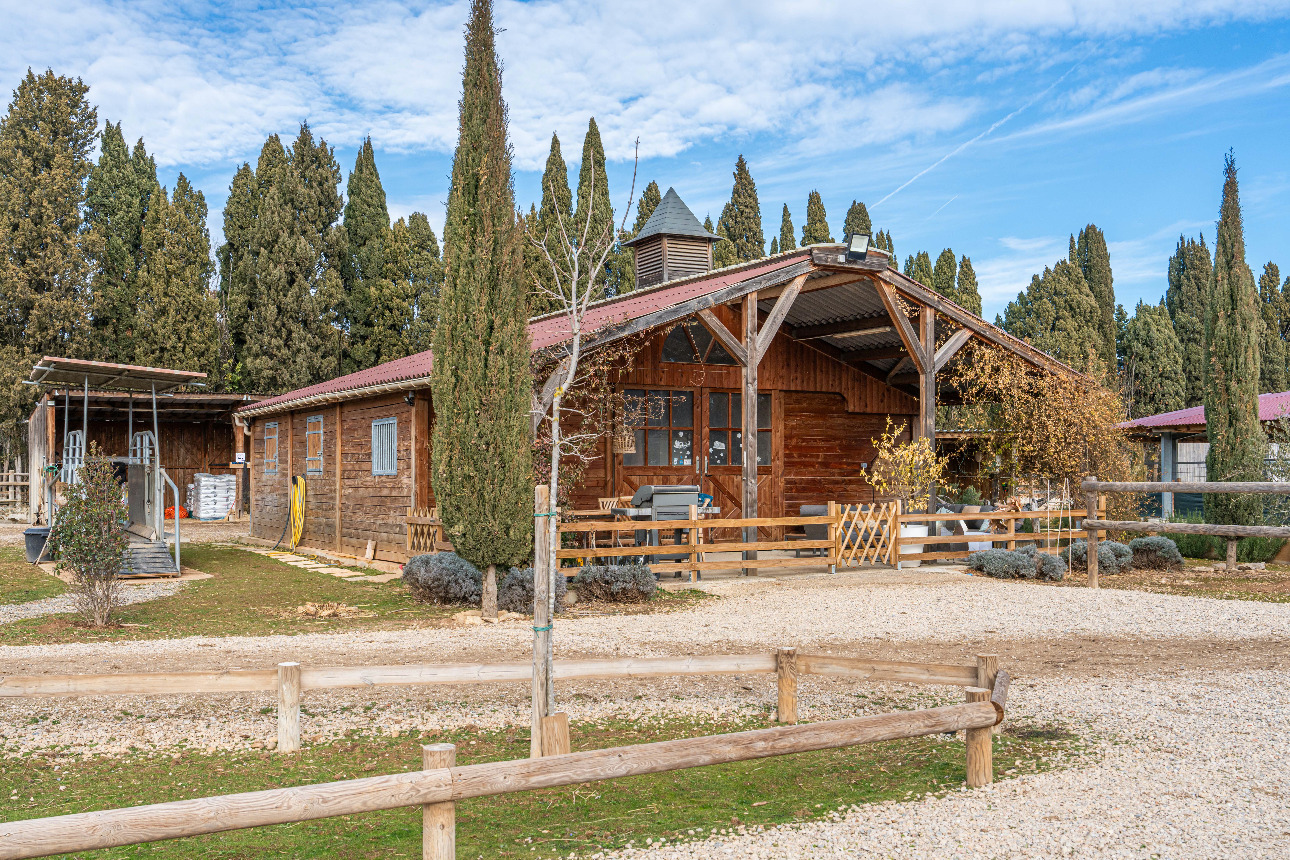 Photos 6 - Equestrian - Provence Alpilles - Equestrian owner - Balneotherapy center