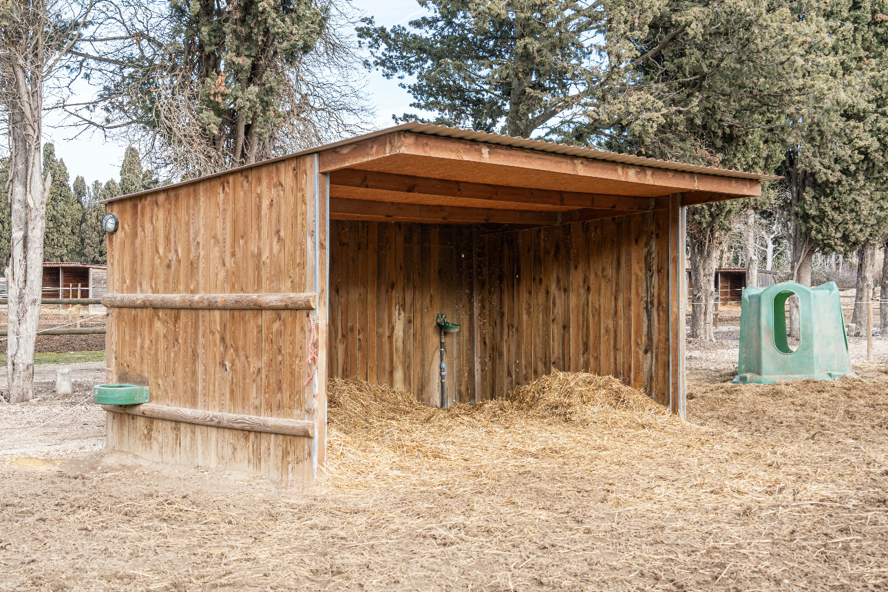 Photos 7 - Equestrian - Provence Alpilles - Equestrian owner - Balneotherapy center