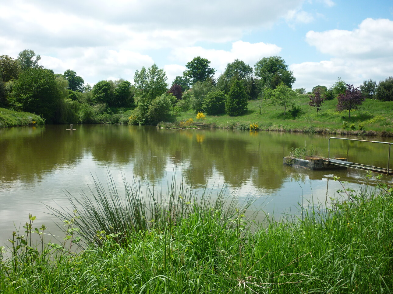 Photos 1 - Foncière - PROPRIETE AVEC ETANG BOIS ET RIVIERE