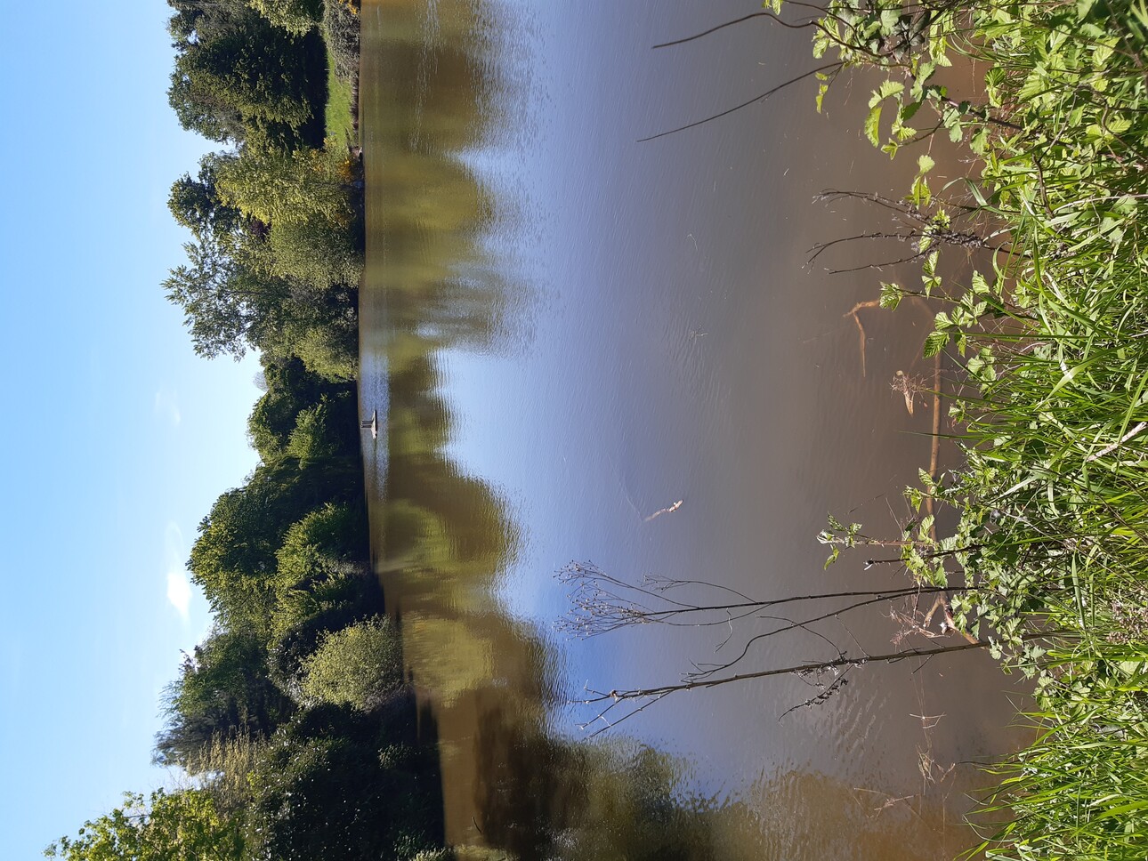 Photos 2 - Foncière - PROPRIETE AVEC ETANG BOIS ET RIVIERE