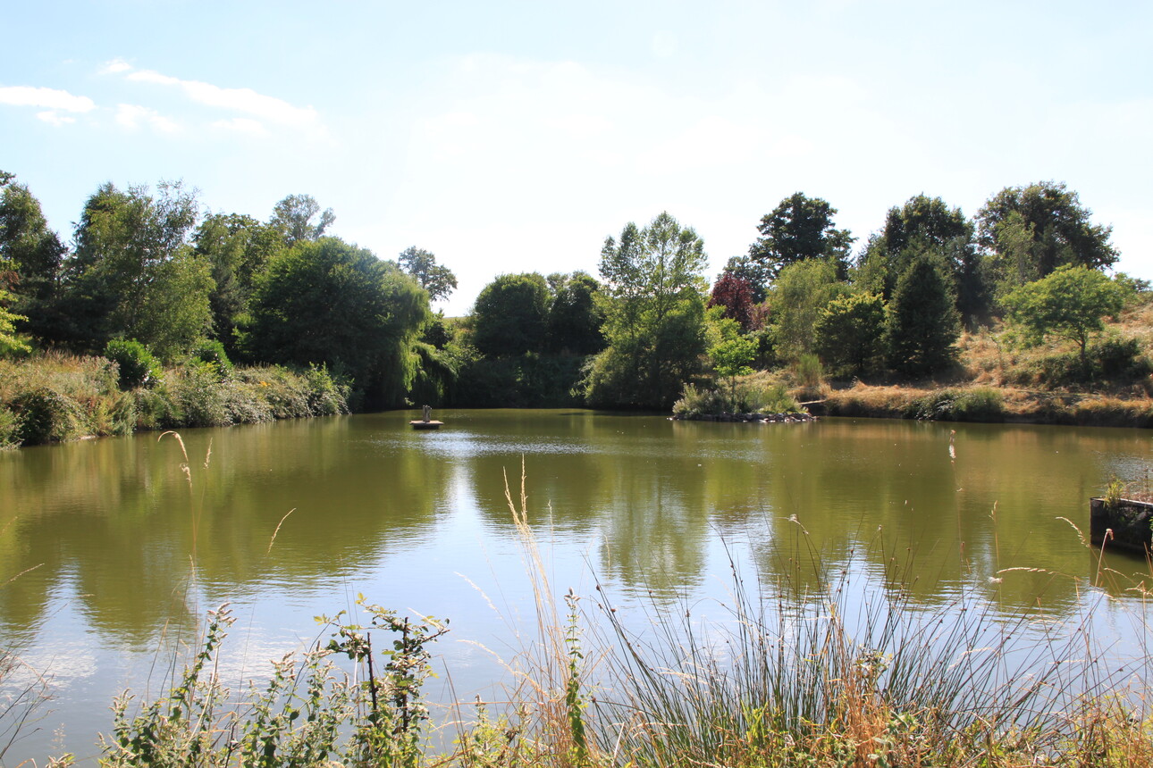 Photos 3 - Foncière - PROPRIETE AVEC ETANG BOIS ET RIVIERE