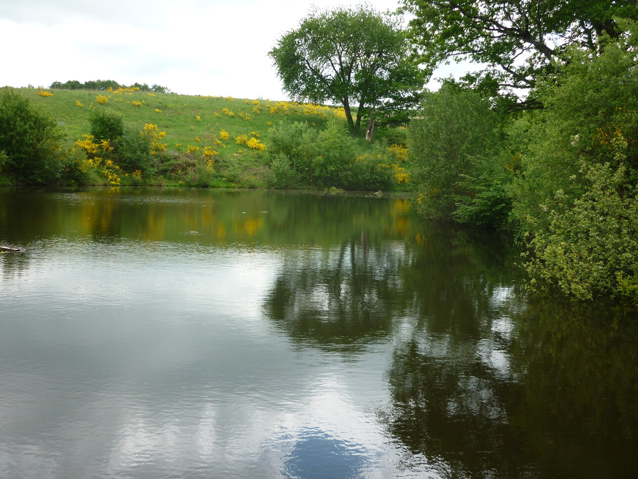 Photos 4 - Foncière - PROPRIETE AVEC ETANG BOIS ET RIVIERE