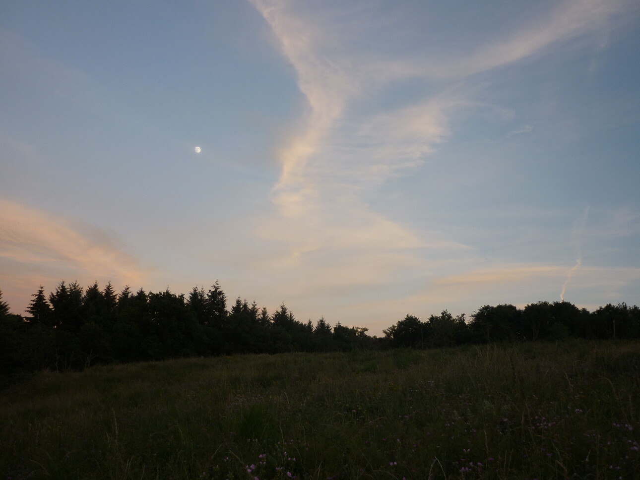 Photos 7 - Foncière - PROPRIETE AVEC ETANG BOIS ET RIVIERE