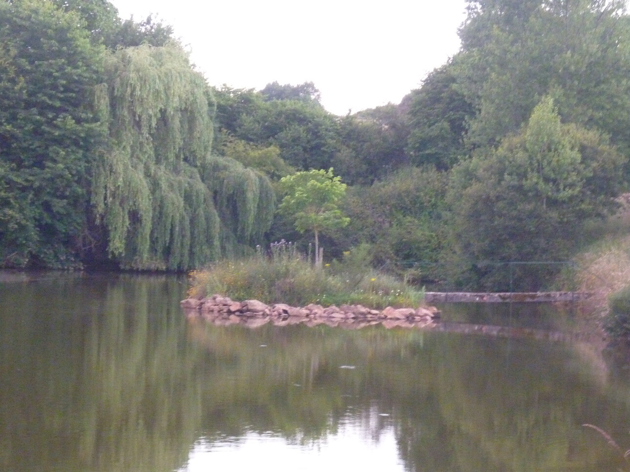 Photos 8 - Foncière - PROPRIETE AVEC ETANG BOIS ET RIVIERE