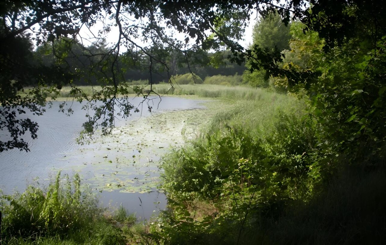 Photos 1 - Equestrian - AUDE DOMAINE 184 HA LAC GÎTES