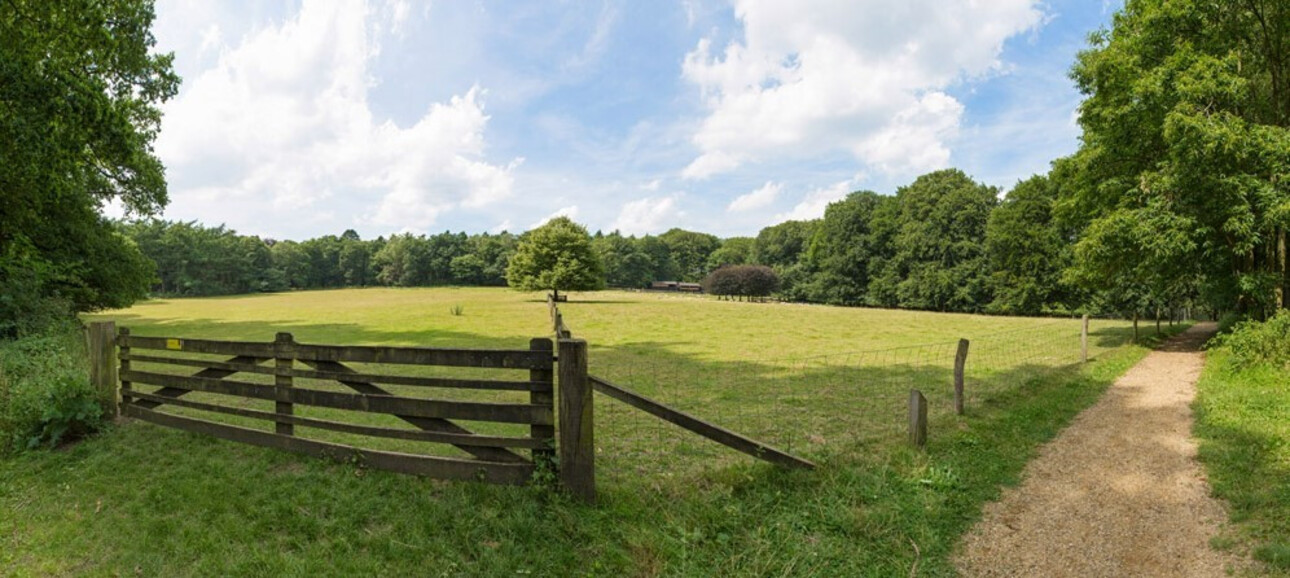 Photos 4 - Equestrian - AUDE DOMAINE 184 HA LAC GÎTES