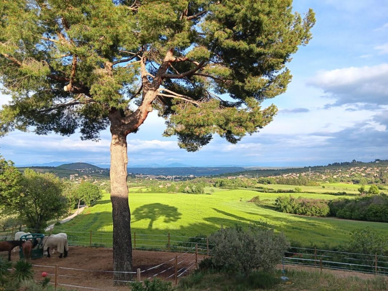 Photos 1 - Equestrian - Propriété d'execption à Manosque (04)