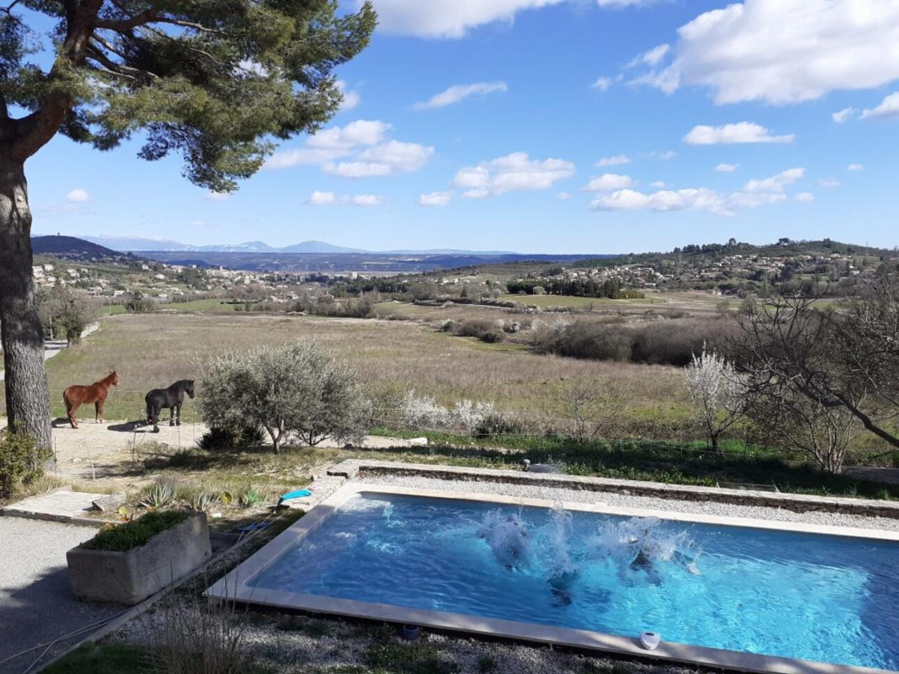 Photos 3 - Equestrian - Propriété d'execption à Manosque (04)